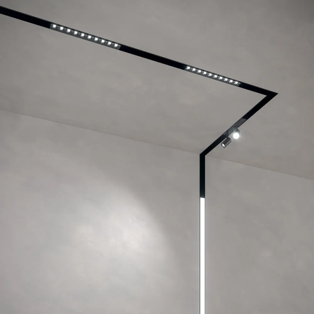 Arca