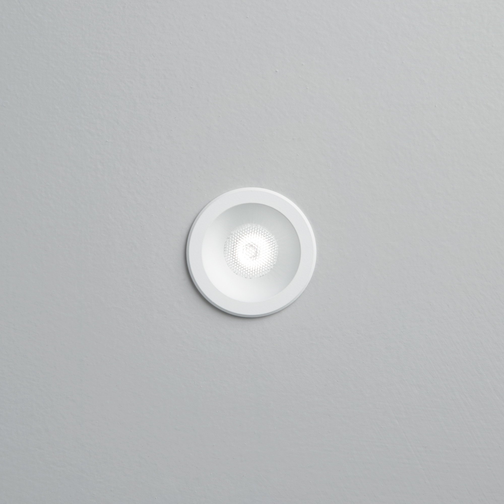 VIRUS FI BIANCO