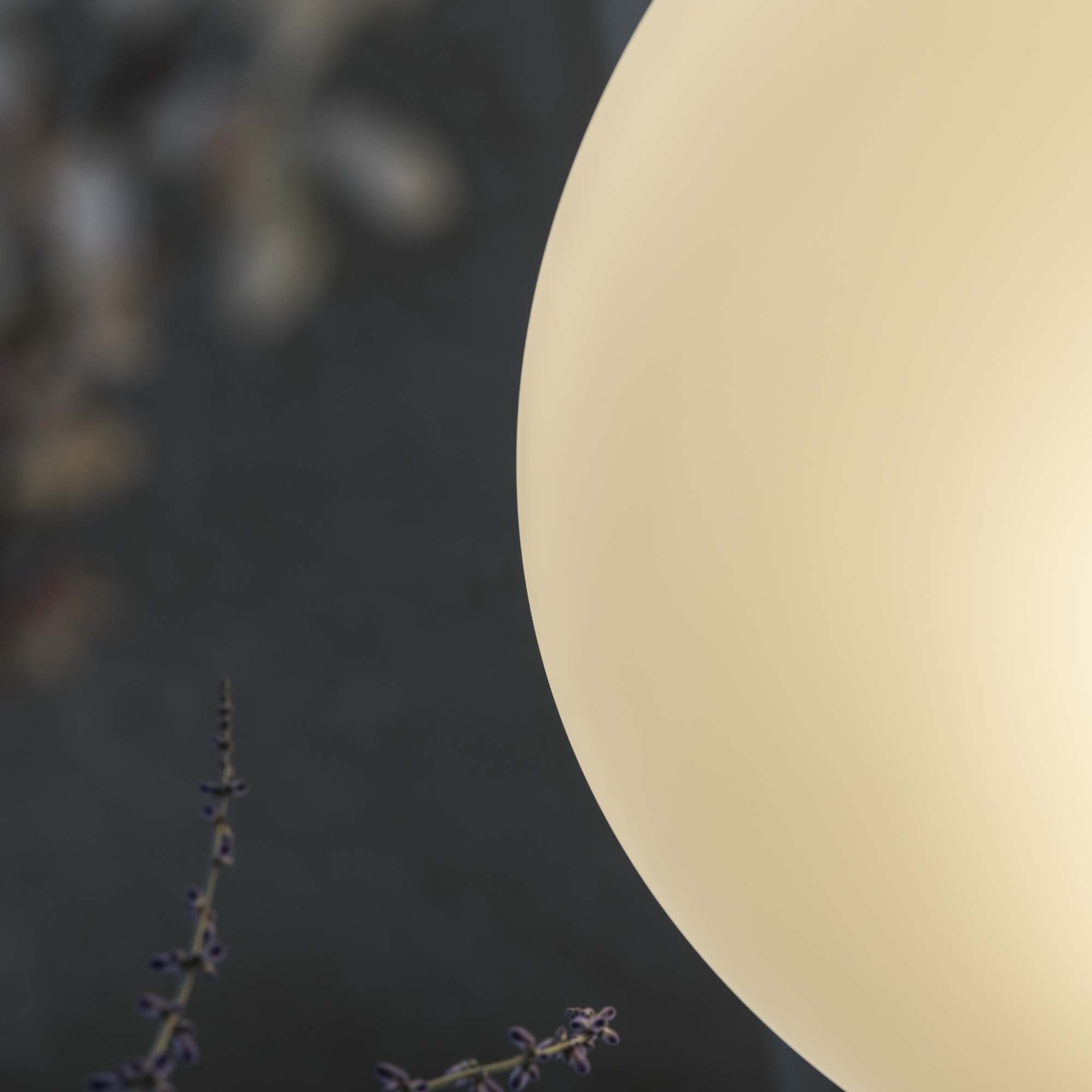 SMARTIES SP5 D60