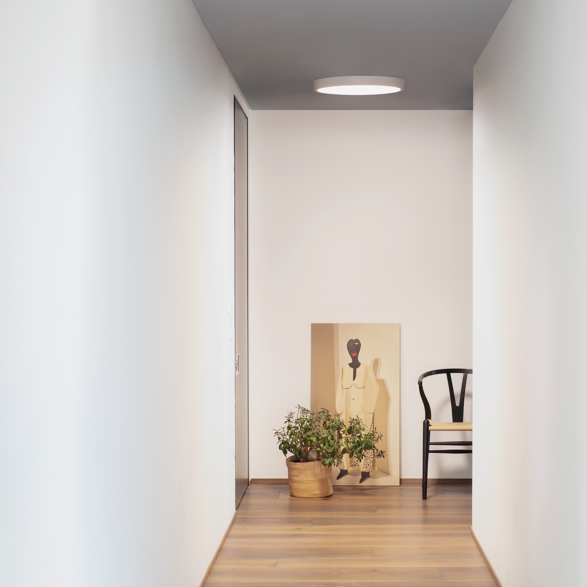 RAY PL D30 BIANCO