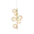 PERLAGE SP6 AMBRA