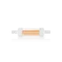 272382 WEB001 R7s COB 06 W 480 Lm 4000 K CRI80 DIMM