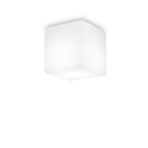 LUNA PL1 D11