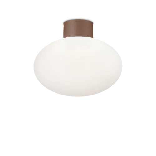 CLIO MPL1 COFFEE