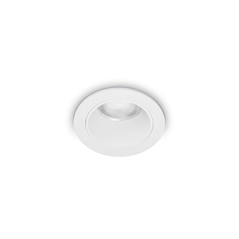 Quark