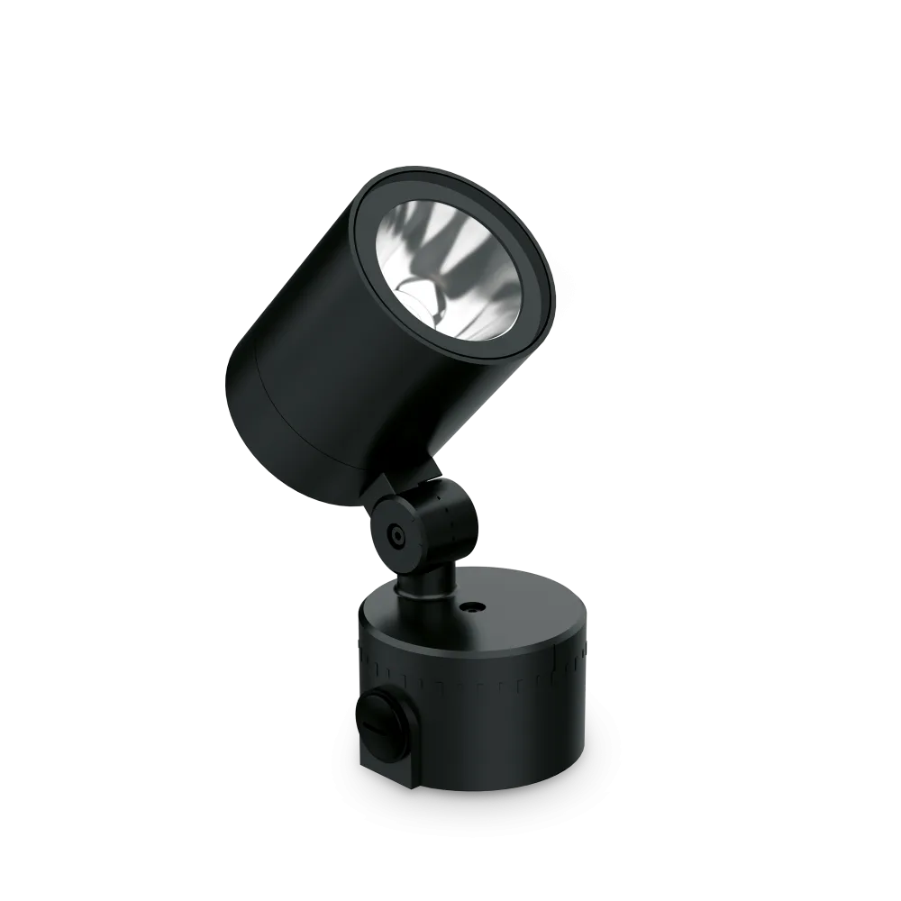 O-ZONE PT SMALL