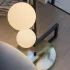 BIRDS PT5